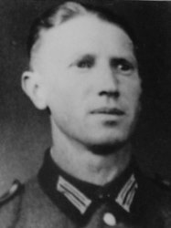 Vögel Ernst